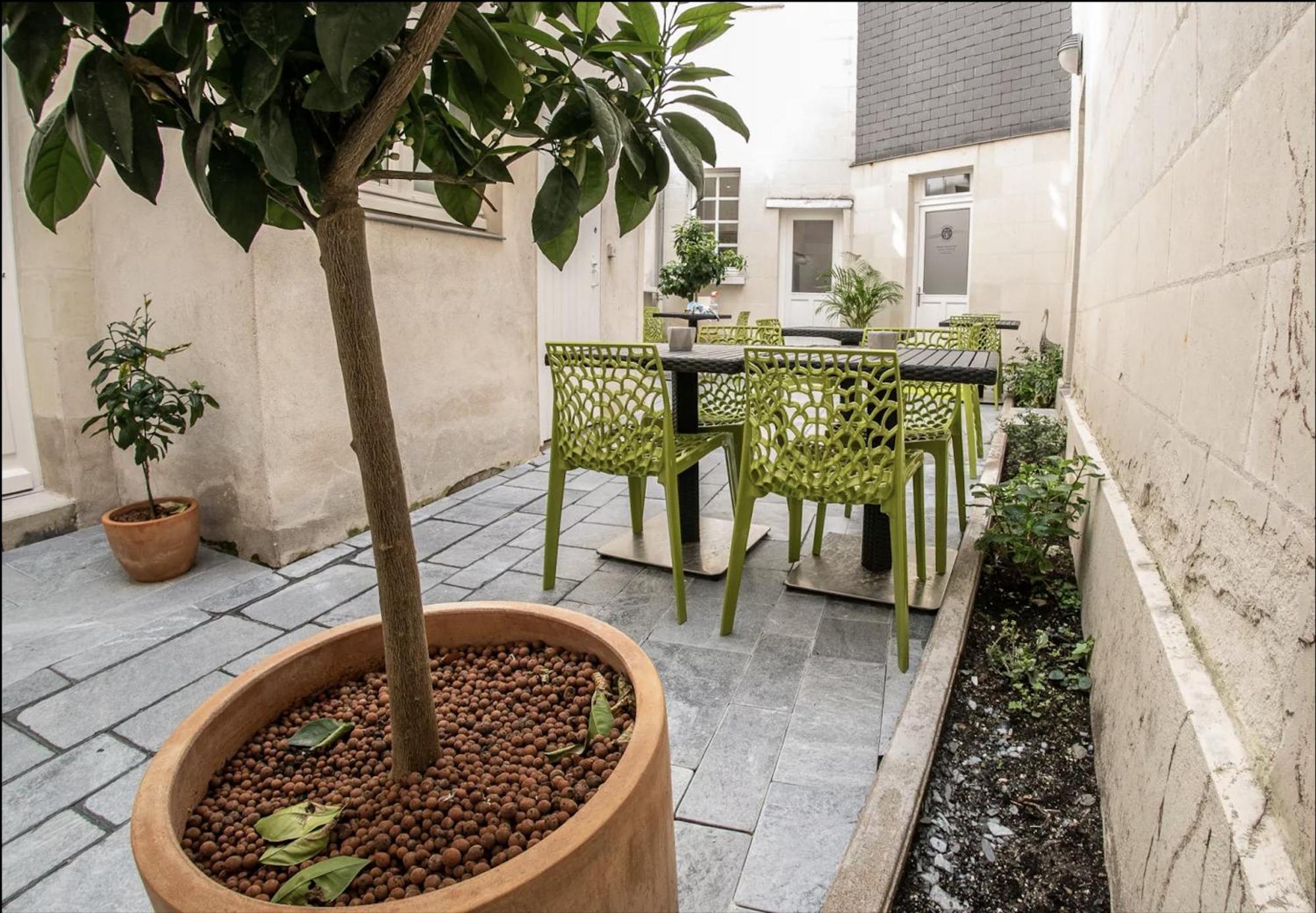 Les Lys D'or Appartement Saumur